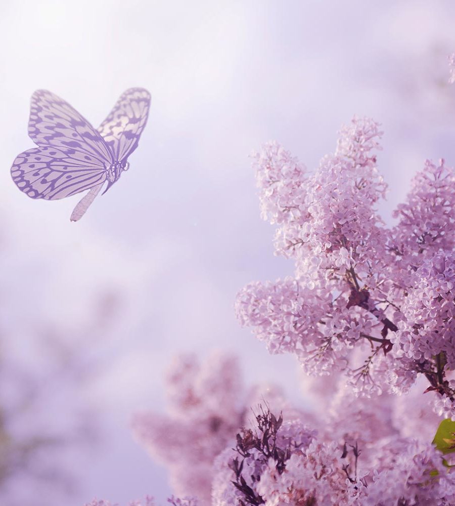 L’hypnose ericksonienne - hypnoclic.ch